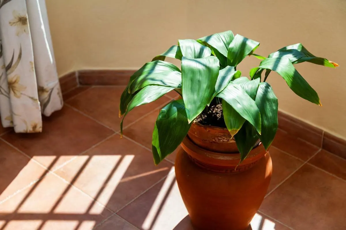 Villa Cies Chiclana de la Frontera Holiday home